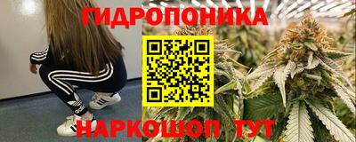 хмурый Тара