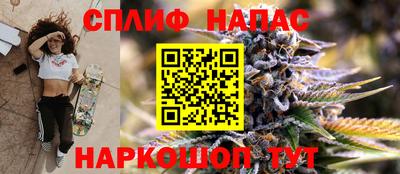 хмурый Тара