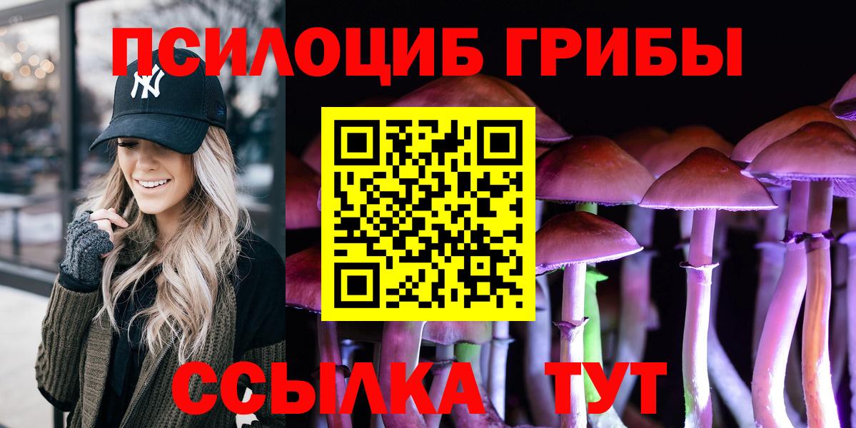 Галлюциногенные грибы Psilocybine cubensis Ессентуки