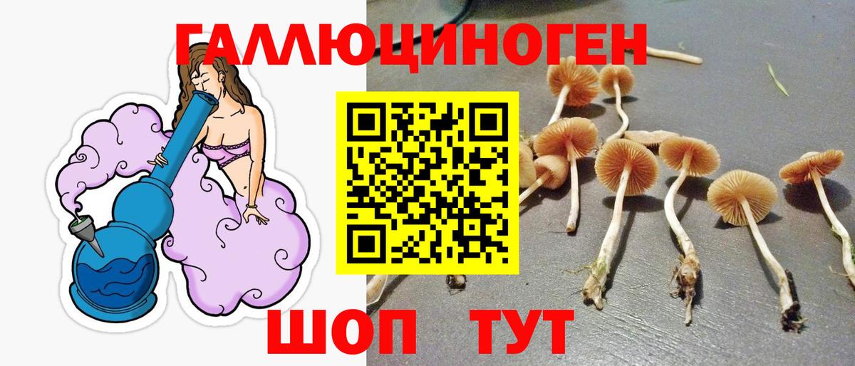 Ессентуки  Псилоцибиновые грибы Psilocybine cubensis  Вход с VPN 